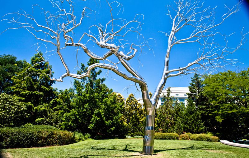 A Guide to Choosing the Ideal Metal Tree Sculpture for Your Space